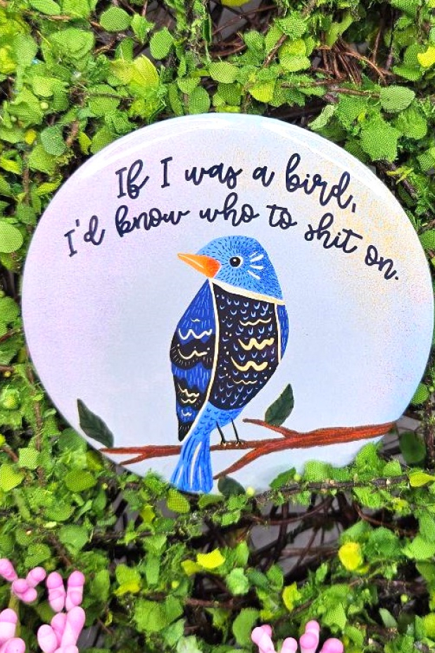 Parakeet Bird Art Button – Funny Bird Painting Pinback (3 inch) Parakeet Bird Art Button – Funny Bird Painting Pinback (3 inch)